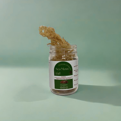 Chocolate - Sea Moss Kit