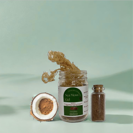 Chocolate - Sea Moss Kit